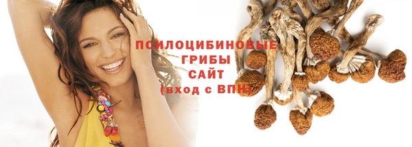 сатива Арсеньев