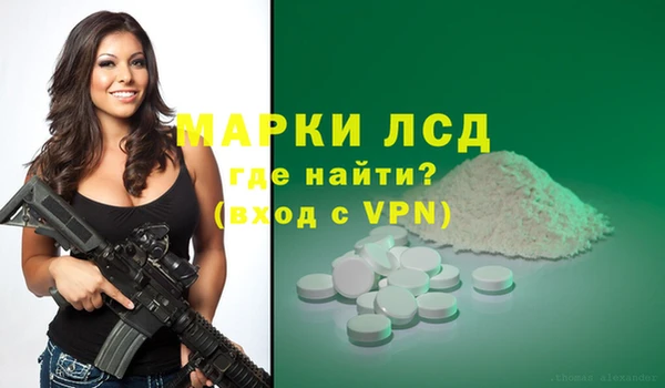 сатива Арсеньев
