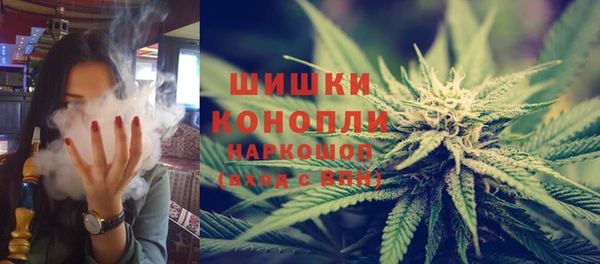 сатива Арсеньев