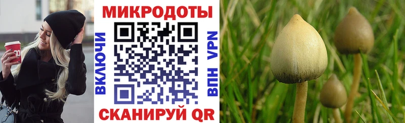 Псилоцибиновые грибы мухоморы  hydra маркетплейс  Ухта 